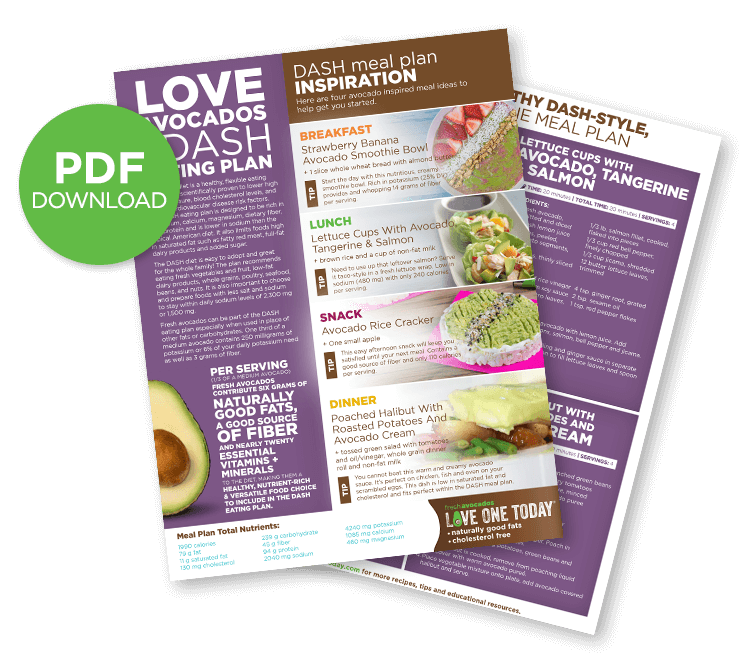 DASH Style Meal Plan